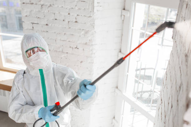 Mold Removal for HVAC Installations in Bayard, NM