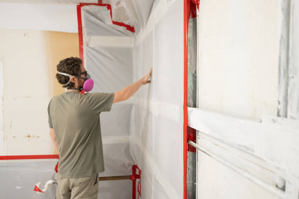 Best HVAC Mold Inspection and Cleaning  in Bayard, NM