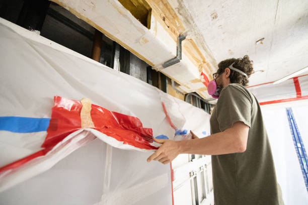 Trusted Bayard, NM Mold Removal Experts