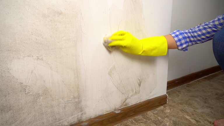 Best Comprehensive Air Testing for Mold Contaminants  in Bayard, NM