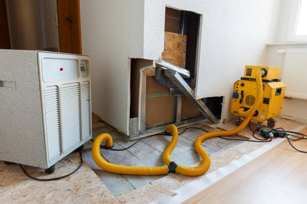 Best Indoor Air Quality Assessment  in Bayard, NM